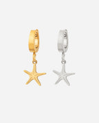 CHARM Estrella de Mar - Plata